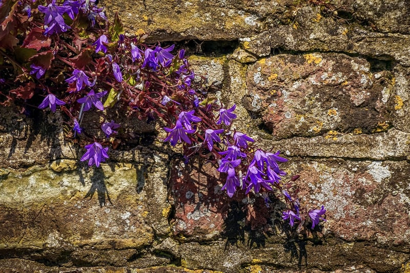 Herb Walls